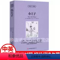 中英对照:小王子 [正版]昆虫记 中英对照 昆虫记法布尔英文原版中文版中英文双语对照名著英汉互译对照双语读物外国世界英文