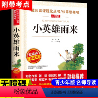 [无障碍阅读]小英雄雨来 [正版]大林和小林张天翼 小学生三年级四年级五年级上册下册阅读课外书必读的书籍 老师儿童文学全