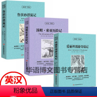 3本中英对照:爱丽丝+汤姆索亚+鲁滨孙 [正版]昆虫记 中英对照 昆虫记法布尔英文原版中文版中英文双语对照名著英汉互译对