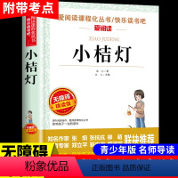 [无障碍阅读]小桔灯 [正版]大林和小林张天翼 小学生三年级四年级五年级上册下册阅读课外书必读的书籍 老师儿童文学全集宝