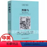 中英对照:黑骏马 [正版]昆虫记 中英对照 昆虫记法布尔英文原版中文版中英文双语对照名著英汉互译对照双语读物外国世界英文