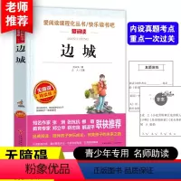 边城 [正版]少年版儿童文学名家经典书系整书精读天地出版社四大名著神笔马良三字经法布尔昆虫记原著完整版山海经十万个为什么