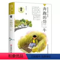 奔跑的岱二牛 [正版]我要做好孩子黄蓓佳三四五年级小学生课外阅读书籍必读经典书目我要做个好孩子书黄蓓佳倾情小说系列9-1