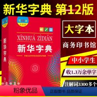 [正版]当当 字典12版新版大字本商务印书馆第十二版中小学生字典小学生汉语字典工具书大字版2022 2023适用一年级