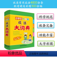 [正版]小学生多功能成语大词典 2023新版学生成语词典 小学生 多功能词典 超大开本 彩色插图大字印刷 通用版