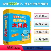 [正版]小学生多功能现代汉语大词典 2023新版小学生多功能现代汉语词典 超大开本 大字印刷 彩色插图 通用版词典