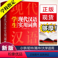 [正版]2023学生现代汉语实用词典中小学生工具书高中初中语文字典词典套装书籍全功能中国现代汉语词典近义词反义词典大全