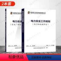 [正版]2本套2019年 电力安全工作规程 热力和机械部分+发电厂和变电站电气部分 国家电力投资集团有限公司 中