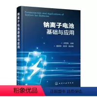 [正版]2023hg 钠离子电池基础与应用 伊廷锋 开发指南 钛基负极材料及转化反应机制负极材料 材料物理能源等相关专业