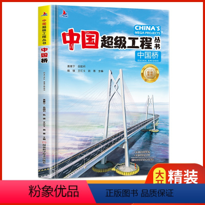 [正版]中国桥 中国超级工程丛书系列青少年建筑科普百科知识