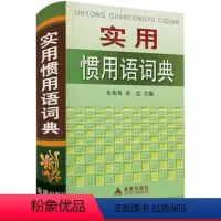 [正版]实用惯用语词典(精装)惯用语常用词典汉语熟语小词典