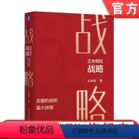 [正版] 王志纲论战略 关键阶段的重大抉择 宏观经济 趋势分析 企业成败案例 咨询管理 龙永图 周其仁