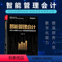 [正版]智能管理会计 从Excel到Power BI的业务与财务分析(全彩)智能时代财务管理 互联网人工智能化企业公司财