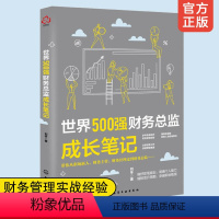 [正版] 世界500强财务总监成长笔记 财务会计主管总监CFO会计财务管理书财务管理经验工作技巧 案例 会计人职业生涯规