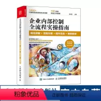 [正版]企业内部控制全流程实操指南 规范讲解流程分解操作实务案例解析企业管理风险管理内容组织架构发展战略书