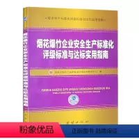[正版]烟花爆竹企业安全生产标准化评级标准与达标实用指南 国家安全生产监督管理总局宣传教育中心编