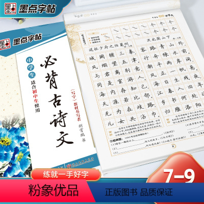 楷书-初中生必背古诗文 [正版]荆霄鹏楷书行楷字帖通用规范汉字7000字常用字楷体字帖初学者硬笔书法教程初中高中生成人男