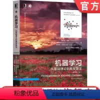 [正版] 机器学习 从基础理论到典型算法 原书第2版 梅尔亚 莫里 生长函数 模型选择 支持向量机 核方法 多分类