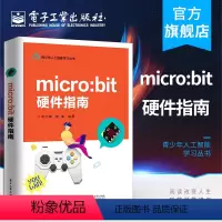 [正版]micro:bit硬件指南 青少年人工智能学习丛书 micro:bit编程方法书 microbit教程智能硬件设