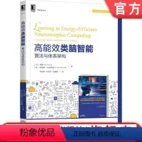 [正版] 高能效类脑智能 算法与体系架构 郑楠 计算软硬件协同设计 神经形态 脉冲型神经元网络 功耗