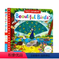 小小探险家:美丽的鸟儿 [正版]115元6件First Stories童话故事Bizzy Bear小熊很忙/sing a