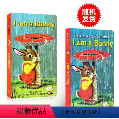 单册:I am a bunny [正版]送音频 启蒙绘本I am a bunny我是一只兔子Dear Zoo棕熊Brow