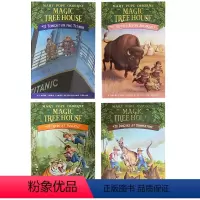 [17-20册]神奇树屋Magic Tree House [正版]神奇树屋英语原版 Magic Tree House神奇