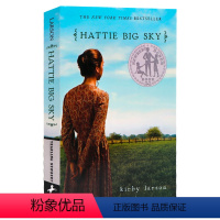 纽伯瑞银奖 海蒂的天空 [正版]100元5件英文原版小说 newbery 纽伯瑞儿童文学奖经典名著哈利波特英语原版奇迹男