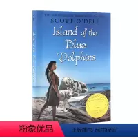 纽伯瑞金奖 蓝色海豚岛 [正版]100元5件英文原版小说 newbery 纽伯瑞儿童文学奖经典名著哈利波特英语原版奇迹男