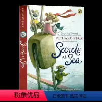 [海上的秘密]Secrets at Sea [正版]Newbery纽伯瑞获奖书单 夏洛的网英语原版 夏洛特的网 文学小说