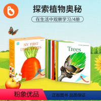 第一次发现系列-第四辑植物4册 [正版]小彼恩点读书 第一次发现系列-手电筒7册历史动物艺术生态系统多元认知动手能力培养