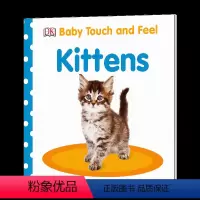 触摸和感觉 小猫 [正版]彩虹 英国小瓢虫宝宝触摸书 英文原版绘本 Baby Touch Rainbow 认知启蒙大开