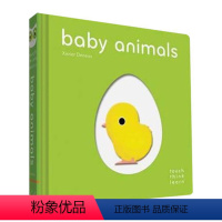 触摸书 动物宝宝 [正版]彩虹 英国小瓢虫宝宝触摸书 英文原版绘本 Baby Touch Rainbow 认知启蒙大开