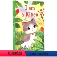 我是一只小猫 [正版]彩虹 英国小瓢虫宝宝触摸书 英文原版绘本 Baby Touch Rainbow 认知启蒙大开本纸