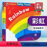 主图款 彩虹 [正版]彩虹 英国小瓢虫宝宝触摸书 英文原版绘本 Baby Touch Rainbow 认知启蒙大开本纸