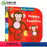 触摸书快乐家庭 [正版]彩虹 英国小瓢虫宝宝触摸书 英文原版绘本 Baby Touch Rainbow 认知启蒙大开本