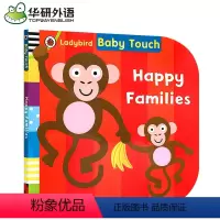 触摸书快乐家庭 [正版]彩虹 英国小瓢虫宝宝触摸书 英文原版绘本 Baby Touch Rainbow 认知启蒙大开本