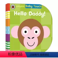 触摸书 你好,爸爸 [正版]彩虹 英国小瓢虫宝宝触摸书 英文原版绘本 Baby Touch Rainbow 认知启蒙大