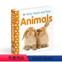 触摸和感觉 动物 [正版]彩虹 英国小瓢虫宝宝触摸书 英文原版绘本 Baby Touch Rainbow 认知启蒙大开
