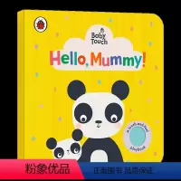 触摸书 你好 妈妈 [正版]彩虹 英国小瓢虫宝宝触摸书 英文原版绘本 Baby Touch Rainbow 认知启蒙大