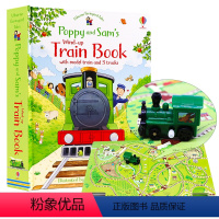 [蒸汽火车轨道书]Poppy and Sam's Wind-Up Train [正版]Usborne 发条轨道书 Win