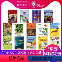 大猫5级别单独练习册14本 [正版]英文进口原版大猫英语分级阅读绘本1234567级小学英语American Engli