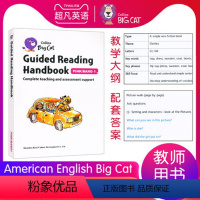 American English Big Cat 1级别教案 [正版]英文进口原版大猫英语分级阅读绘本1234567级小