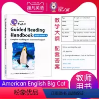 American English Big Cat 4级别教案 [正版]英文进口原版大猫英语分级阅读绘本1234567级小