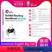 American English Big Cat 7级别教案 [正版]英文进口原版大猫英语分级阅读绘本1234567级小