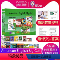 大猫阅读5级14本绘本+14本练习册 [正版]英文进口原版大猫英语分级阅读绘本1234567级小学英语American