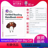American English Big Cat 2级别教案 [正版]英文进口原版大猫英语分级阅读绘本1234567级小