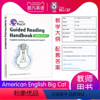 American English Big Cat 5级别教案 [正版]英文进口原版大猫英语分级阅读绘本1234567级小