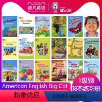 大猫1级别单独练习册18本 [正版]英文进口原版大猫英语分级阅读绘本1234567级小学英语American Engli