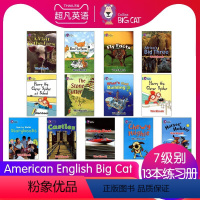 大猫7级别单独练习册13本 [正版]英文进口原版大猫英语分级阅读绘本1234567级小学英语American Engli
